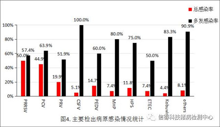 猪病检测中心2016年100-300头猪场检测结果统计