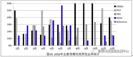 猪病检测中心2016年100-300头猪场检测结果统计