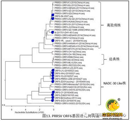 猪病检测中心2016年100-300头猪场检测结果统计