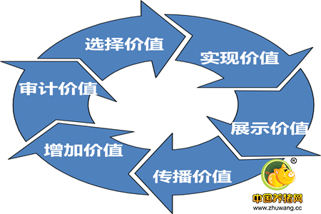 越修炼，越光芒：播恩精英营长的成长必修课