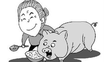 养猪人：普通农户不养猪，实为上策