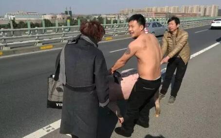 男子高速路上赤裸上身用衣服套猪脖“抓猪”