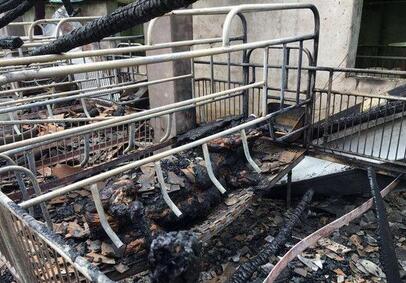 惨痛，猪场一夜损失30万元！给猪友们敲个警钟！