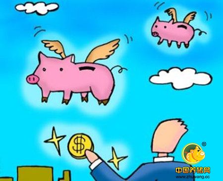 节后猪价行情下跌超出预期，2017年养猪业到底能否赚钱？