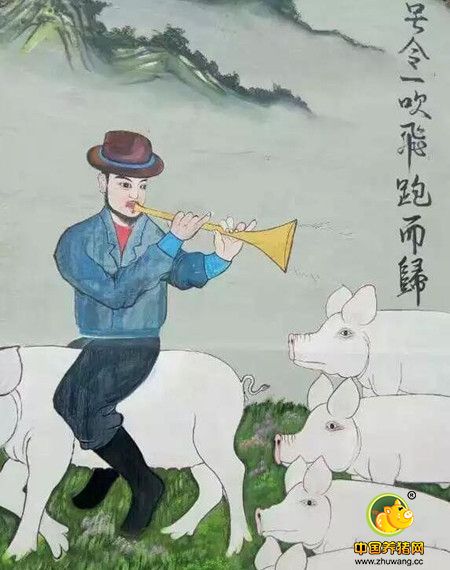 浙江某养猪场墙上的一组画 笑趴众网友