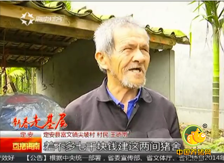 双目失明“摸着”养猪 勤劳致富感染众人