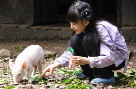 农村猪圈应建在什么位置