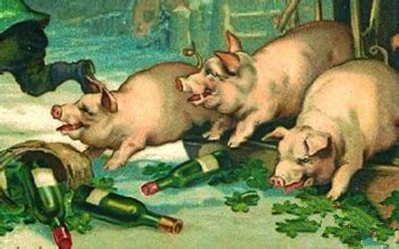 猪群老咳嗽怎么办?