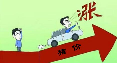 预计今年第二季度猪价将会出现上行机会