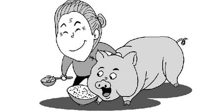 今日全国猪价全面开涨，新一轮的“飞天猪”要来了吗？