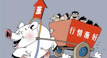 猪价今日上涨0.04元！这一波上涨或能持续！