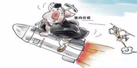 猪价连涨3天，能繁母猪再减15万头！后期你押涨还是押跌？