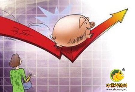 生猪屠宰企业3月或将再度疯狂！