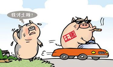 农村散养户还没意识到的危险:养猪人还不进来看看?