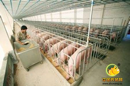 温氏养猪养鸡利润过百亿 让五百强公司“脸红”