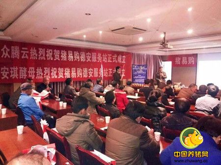 【重大】猪易购线下服务站面向全国招商啦