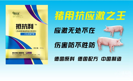 喜讯：北京美达特科技发展有限公司正式入驻猪易购商城