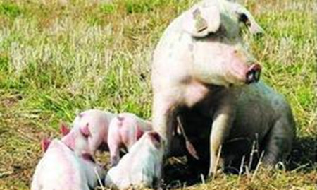 冬季呼吸道疾病不需诊断，直接治疗?