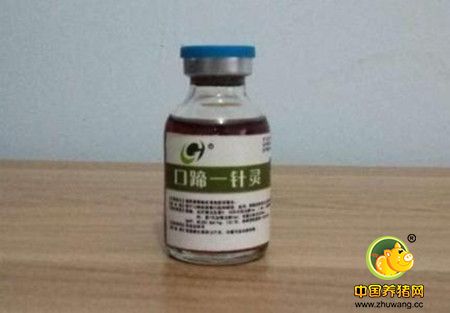 口蹄疫的保健防控方案,你值得拥有