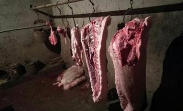 凌晨猪叫扰人梦 执法人员现场取缔一个非法屠宰点