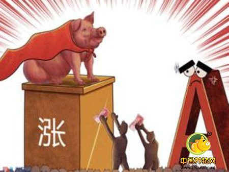 猪价持续稳定，是意味着猪价即将下跌还是下一个高价潮即将来临