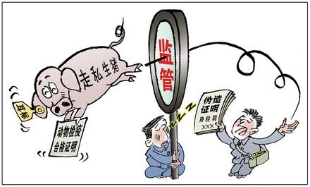 动真格了！广西连夜突查走私生猪，查获生猪8000多头……