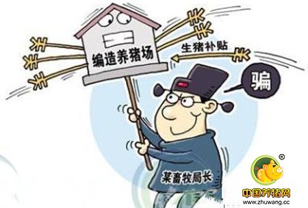 养猪业现状及中小型猪场应如何转型?