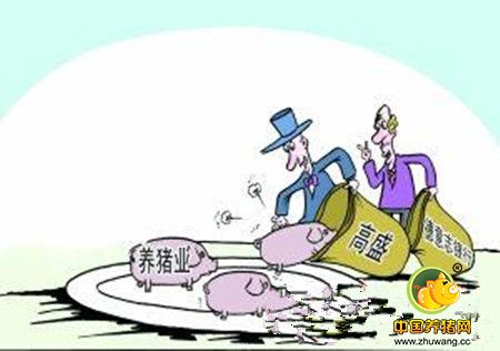 产能承接期 养猪第一大省四川如何洗牌重整