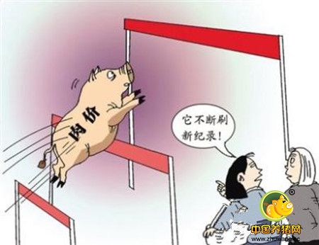 又到调控猪价时?江苏落实猪粮比调控预案