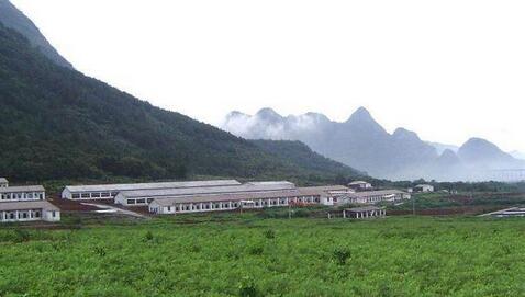散户和小规模猪场生存压力再次增大,这次不是因为环保