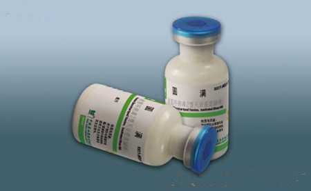 不用愁！老颜教你辨别皮肤病和圆环病毒病