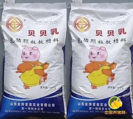 乳猪饲料营养----正确认识教槽料