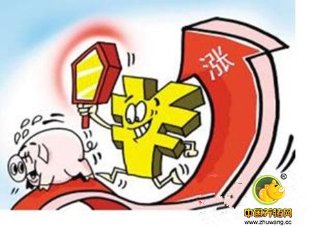 全国多地猪价下跌破8 后期猪价还能涨么？
