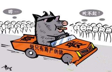 关停养猪场背后的现象:环境治理的同时谁来关注散养户的利益?