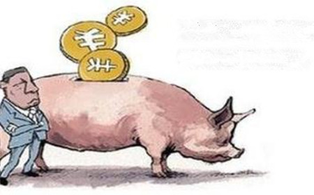 如何预防生猪诈骗?来看看网友的透彻分析