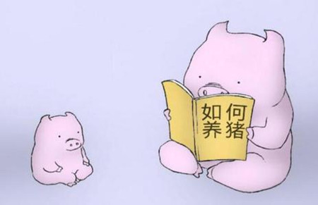 生猪禁养的背后,是一个个大型猪场的崛起!