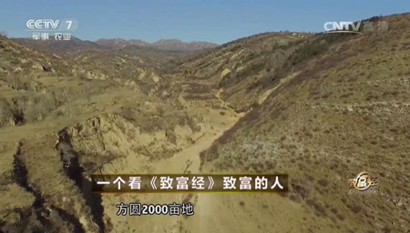 今天您养猪了吗?到乐农之家认养有保障