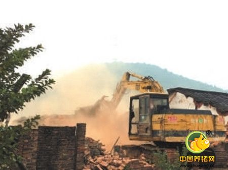 康美2天将拆30多家养猪场