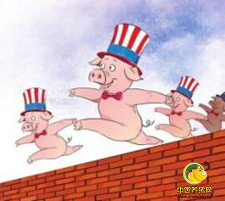 中国养猪业大变局：这不是一场大猪场与小散户的战争