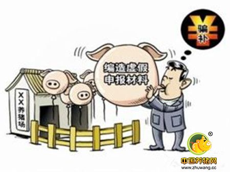 中小养殖户真的跟养猪补贴无关?农村养猪补贴知晓率仅6.25%
