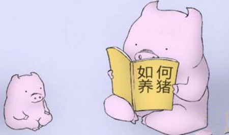 震惊！气温对母猪受胎率居然有这么大的影响！