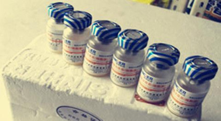 抗原含量越高，猪瘟疫苗就越好？这三点关键问题，业务员才不会告诉你