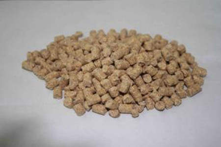 教槽料：没有性能何谈性价比
