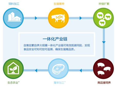 本轮猪价若一直跌下去,先倒下的未必是养殖户?