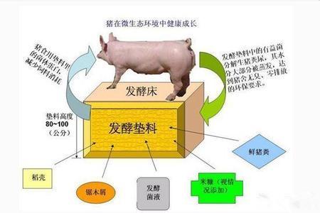 “槽式翻抛机+异位发酵床”颠覆传统养猪业