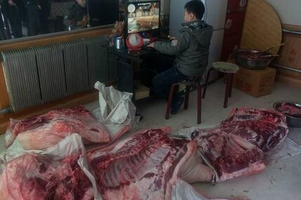 大肥猪两年长到700多斤!村民用铲车拉猪宰杀(图)