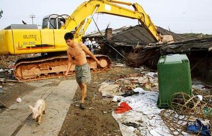 禁养导致生猪供应急剧减少,专家都看不下去了!