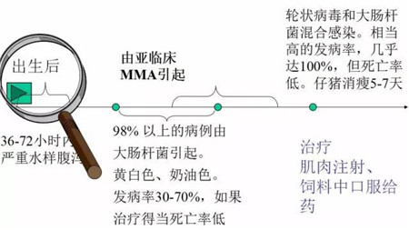 影响哺乳仔猪腹泻的因素及防治措施，养猪人必读！