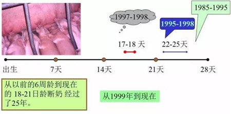 影响哺乳仔猪腹泻的因素及防治措施，养猪人必读！