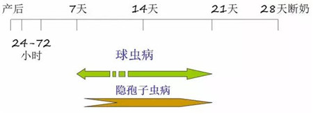 影响哺乳仔猪腹泻的因素及防治措施，养猪人必读！